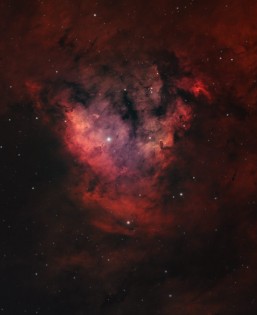 NGC 7822 by Ian Barredo